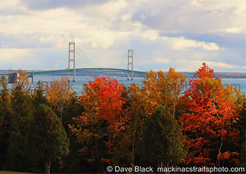 Fall Colors