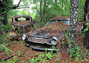 Old Abandoned Cars